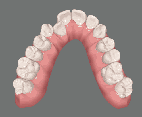 animated movement of teeth